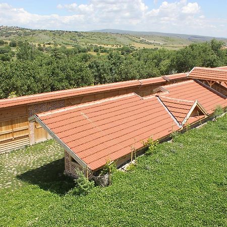 Yasayan Koey Kizilcasogut Ngoại thất bức ảnh